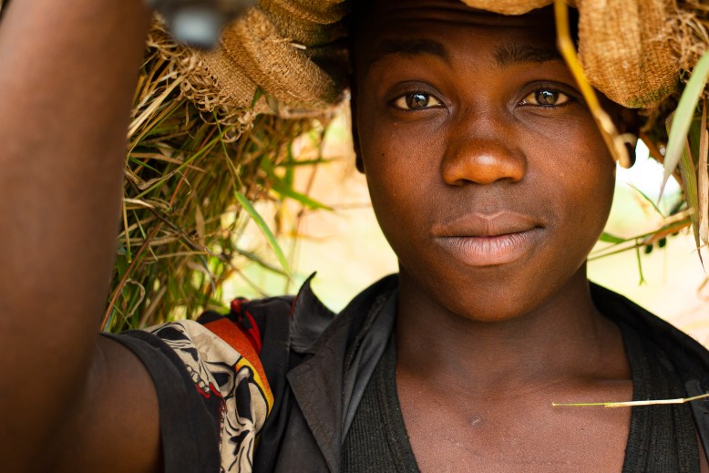 Access and affordability