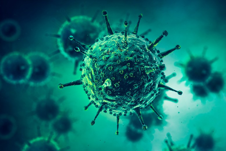 Kórházi fertőzések