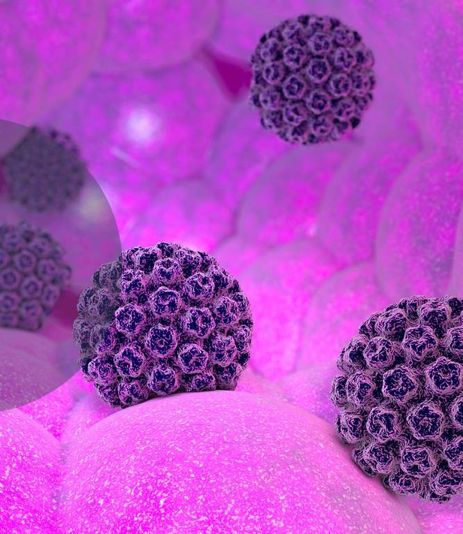 Image for Ön mindent tud a HPV-ről?