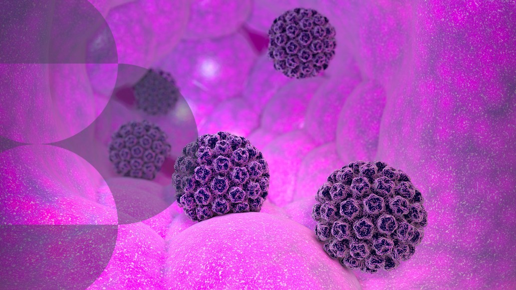 Image for Hat dolog, amelyet valószínűleg nem tudott az MSD-ről